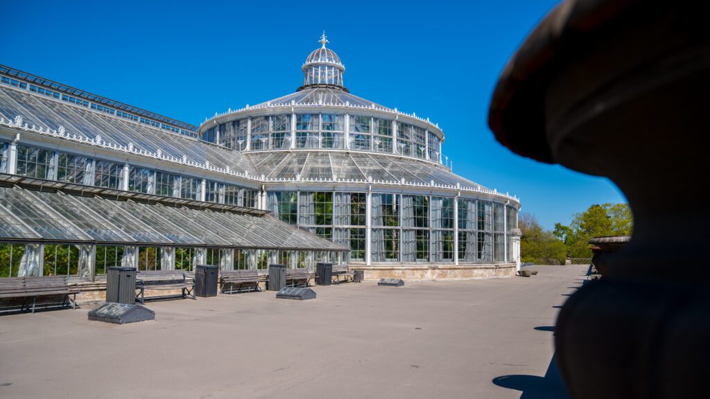 La palmeraie du parc botanique