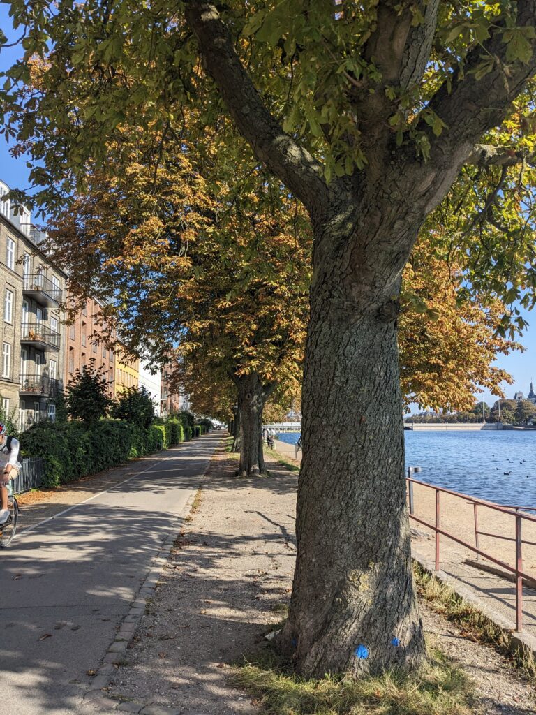 Hors des entiers battus le long des lacs de Copenhague