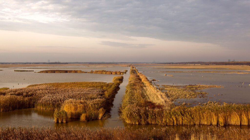 Lac du parc naturel d'Amarre - aux alentours de Copenhague