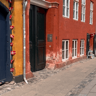 Elisa, guide touristique pour les français à Copenhague